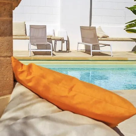 Fenisia Option Wellness