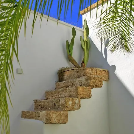 Pensión Fenisia Option Wellness *