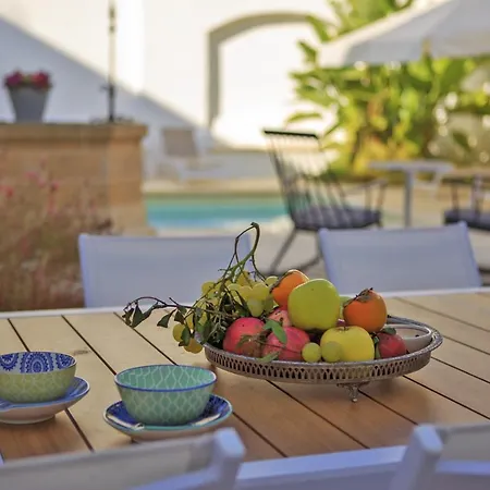 Fenisia Option Wellness *